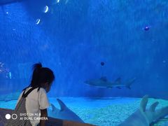 -华夏文旅海洋公园