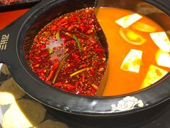 -蜀滋香鲜鱼火锅(黄金路店)
