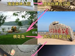 -日照海滨国家森林公园