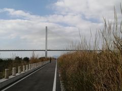 -芒洲湿地公园
