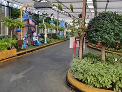 -南宫五洲植物乐园