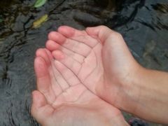 -宁波五龙潭景区