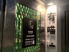 -有喵·猫咖·狗咖·30几只猫10只小狗(岗厦店)