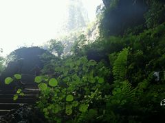 android_upload_pic-百魔洞景区