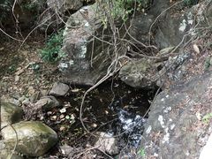 -牛鱼嘴原始生态风景区