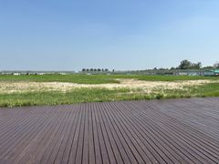 -盐城丹顶鹤湿地生态旅游区