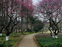 -杭州植物园