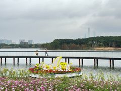 -海珠湖公园
