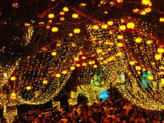 -惠州西湖风景名胜区-丰渚园