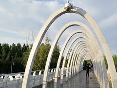 -大兴滨河森林公园