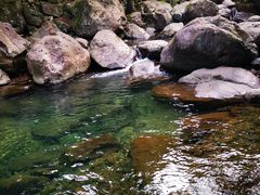 -白云源风景区