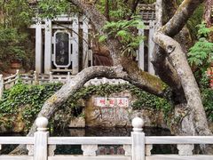 -蝴蝶泉公园