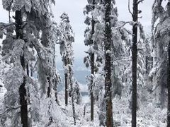 -瓦屋山景区
