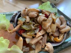 -威海渔村(静安旗舰店)