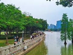 -顺峰山公园