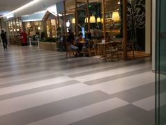 -猫的天空之城概念书店(印象城购物中心店)