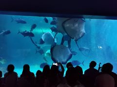 -常州海昌海洋探索馆