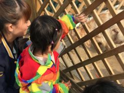 -萌宠亲子动物乐园(槐房万达店)