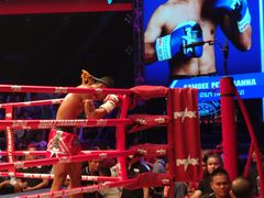 -芭提雅MAX泰拳馆