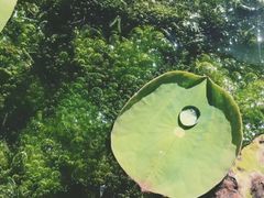 -上海世茂广场(南京东路店)