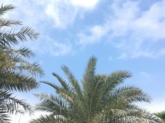 -厦门邮轮中心厦鼓码头(轮渡站)