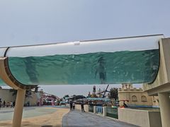 -秦皇岛乐岛海洋王国