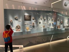 -香港科学馆