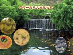 阿一旦带皮黑山羊-香丽缘饭馆(黑龙潭店)