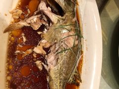 -都喜天丽富都青枫苑酒店-青枫小筑