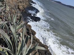 -漳州滨海火山岛自然生态风景区