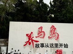 -养马岛旅游度假区