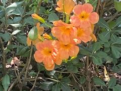 -陈家山荷花公园