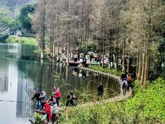 -重庆彩云湖湿地公园