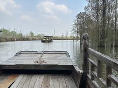 -池杉湖湿地公园