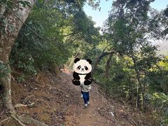 -狮子山郊野公园