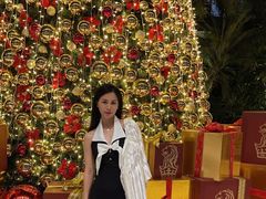 -广州富力丽思卡尔顿酒店