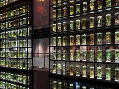 -广东中医药博物馆