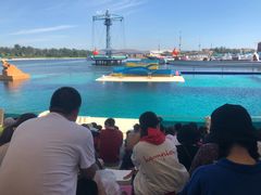 -秦皇岛乐岛海洋王国