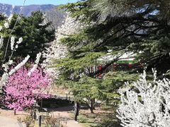 -国家植物园南园