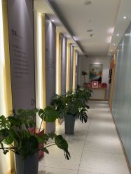 -小阿福儿童摄影(华中智谷店)