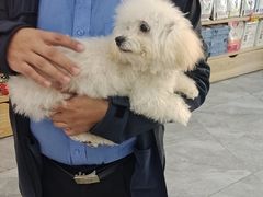 -宠颐生宠物医院·综合诊疗(先锋分院)