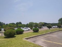 -胜华驾校·小猫学车(银都店)