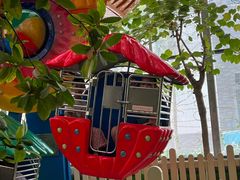 -南宫五洲植物乐园