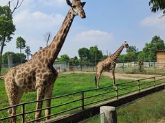 -常州淹城野生动物世界