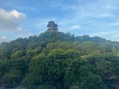 -七欣天香辣蟹火锅(南京建宁路大观天地店)