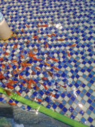 -酷嗒动物文化乐园(cutezoo西溪乐天城店)