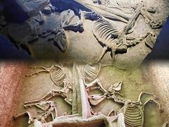 -洛阳周王城天子驾六博物馆