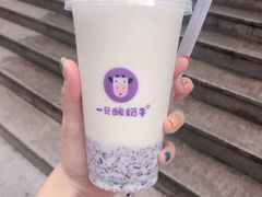 -一只酸奶牛(八一路店)