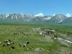 -新疆那拉提国家旅游度假区