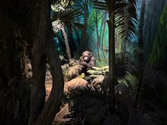 -国家自然博物馆